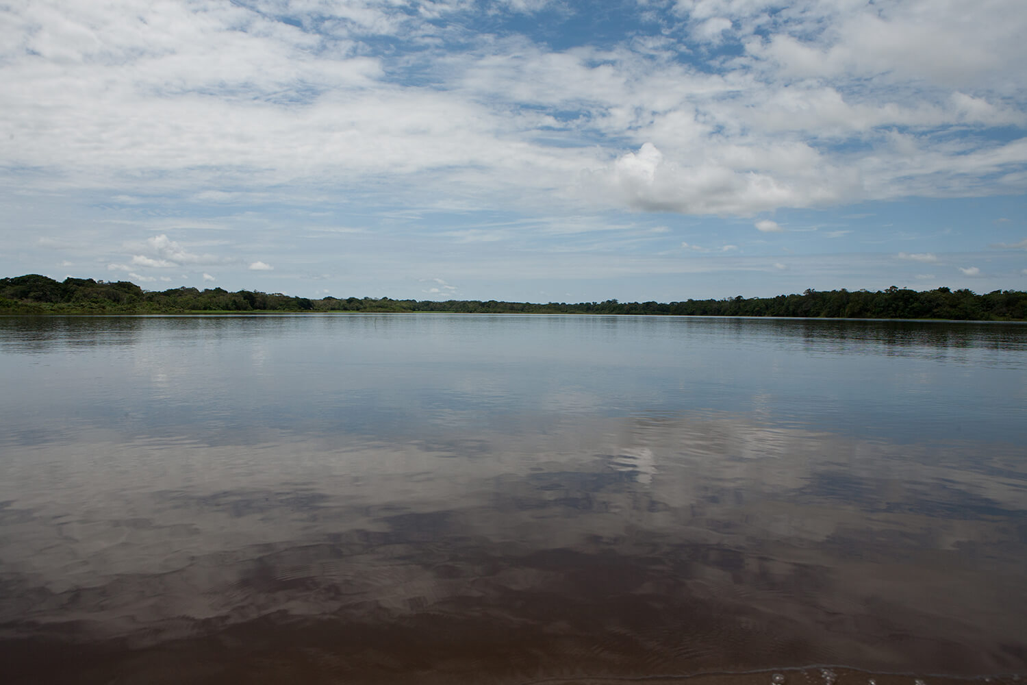 AMAZONAS 15 rio galeria_MG_4025.jpg